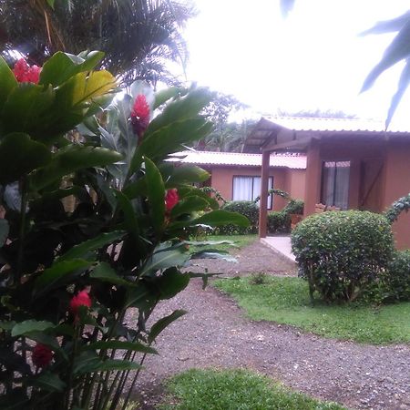 Slow Travel Lodge Upala Ngoại thất bức ảnh